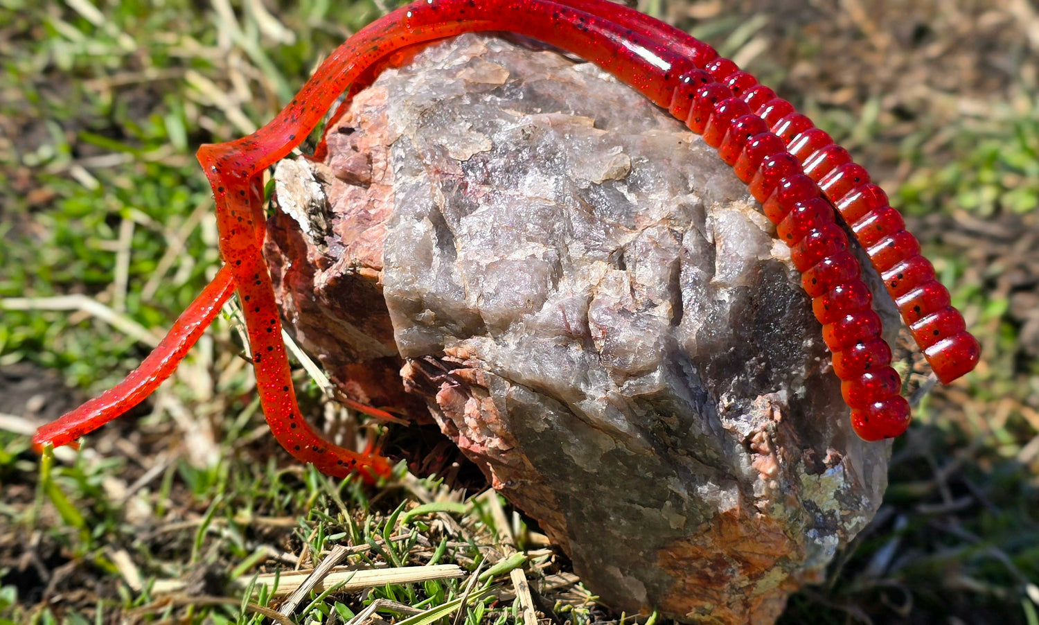 Vortex Worm