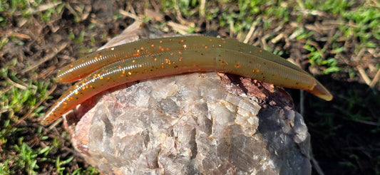 Sandbar Drift Worm