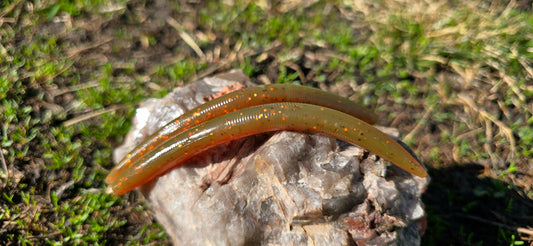 Sandbar Drift Worm