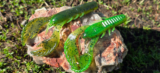 EctoCraw