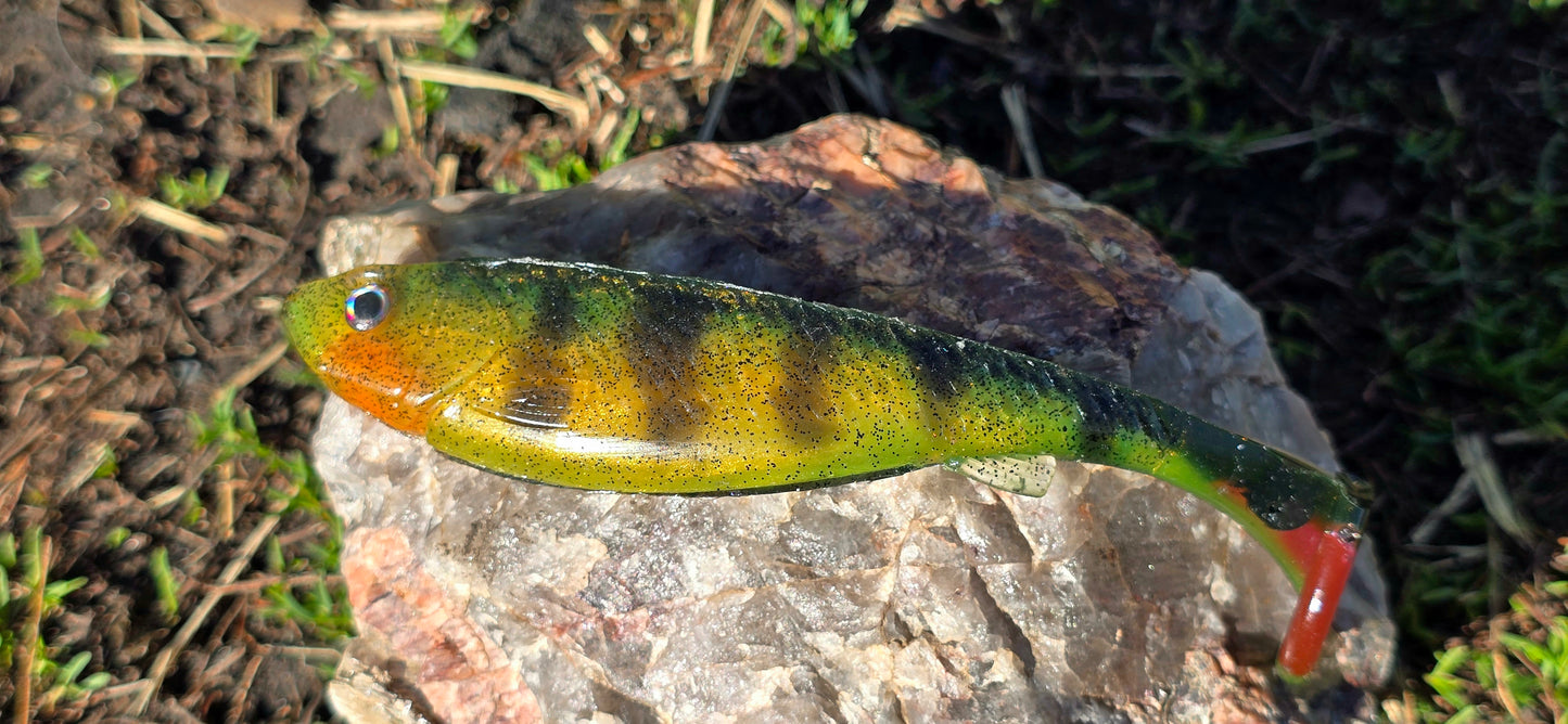 Sandhill Shiner
