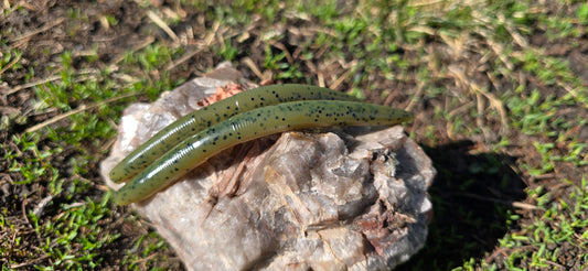 Sandbar Drift Worm - Space Grass
