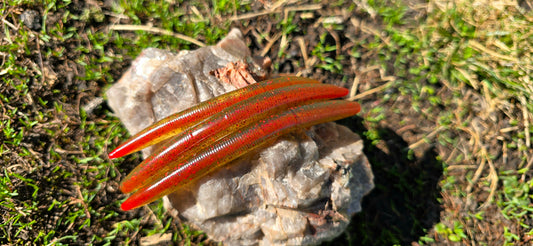 Sandbar Drift Worm - Core Shot Red Champagne