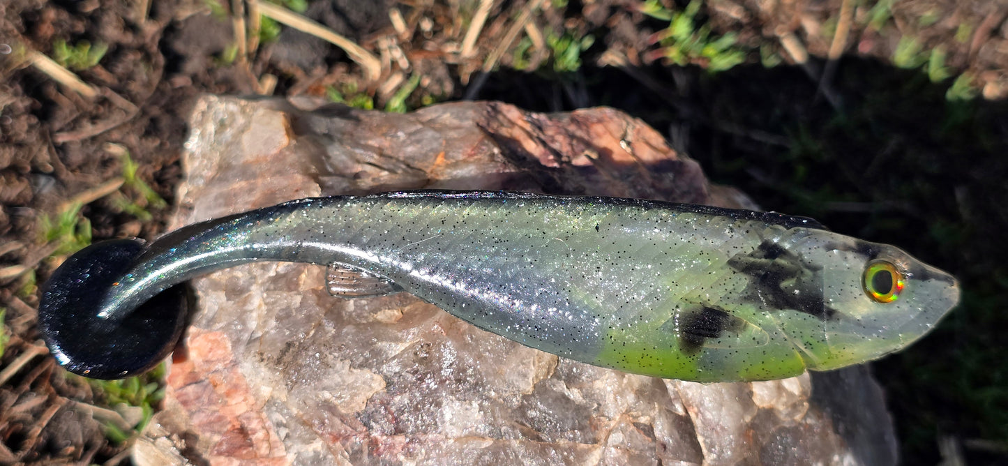 Sandhill Shiner