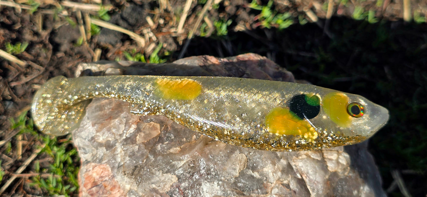 Sandhill Shiner